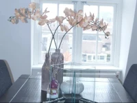Trendy Alkmaar - Penthouse Apartment 