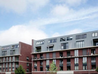 Lijsterbes