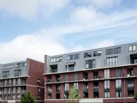 Lijsterbes 