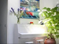 B&B Rijnoever