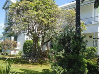 Tripinn Hostel Backpackers YHA
