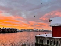 Anker Brygge 