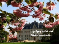 Hotel u Michalika 3*