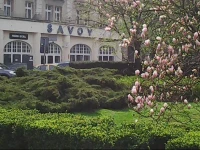 Savoy WrocЕ‚aw 2*