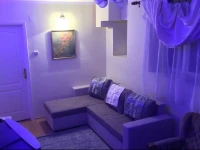 Apartment Brankov 