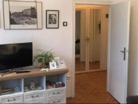 Apartment White Owl 
