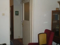 Apartment Panic 