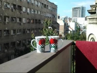 Apartment Modus 