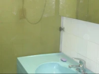 13 Monkeys Studio Apartment 