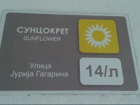 Apartment Sunflower 