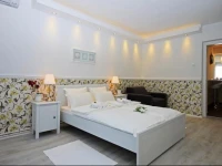 Apartment Toplica 
