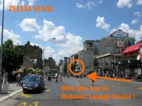 Hedonist Lounge Hostel 