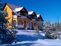 Villa Ducic