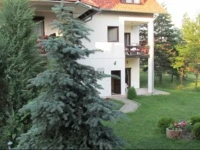 Apartments Bojana 