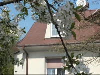 Villa Budatin 