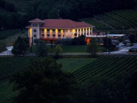 Hotel Venko 