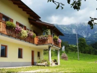 Apartment Kozjak 