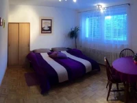 Apartment Pohorje 