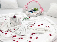 Bed and Brekfast Donatella