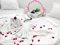 Bed and Brekfast Donatella 