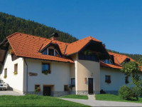 Apartment Slovenj Gradec 03