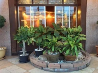 Suriwong Chumphon Hotel 2*