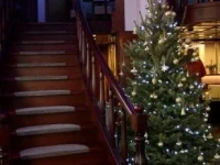 Hotel Minerva 3*