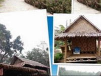 Bamboo Hut Bangalow