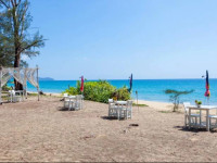 Micky Monkey Beach Hotel
