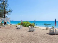 Micky Monkey Beach Hotel 