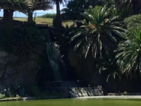 Apartamento Punta Carretas 