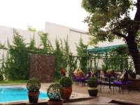 Purple Tree Bed & Breakfast 1*