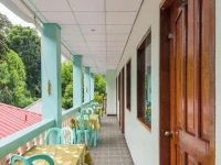 Green House Puerto 1*