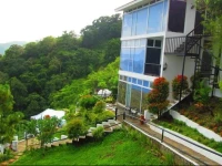 Casa Alegria Bed and Breakfast 