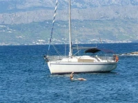 Boat in Biograd (10 metres) 2 