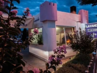 Vila in Lavanda 4*