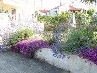 Jasmin Guest House