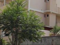 Vujevic Guest House 3*