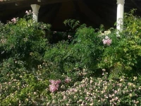 Villa Pindo Holiday Home 3*