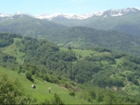 Contry House Hoti Plav 