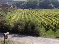 Vinice Hnanice Hotel 4*