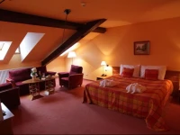 Wellness & Congress Hotel Dvorak Tabor 4*