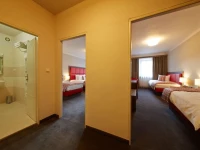 Nelly Kellys 4*
