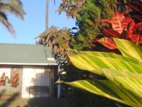 Hostal Rapa Nui 1*
