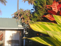 Hostal Rapa Nui
