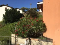 Casa Vissino 4*