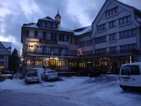 Hotel Krone Gais 1*