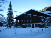 Ferienwohnung Lenk 3*