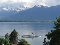 Suisse Riviera Elegance