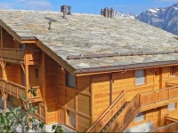 Apartment La Crevasse II Nendaz Station 4*